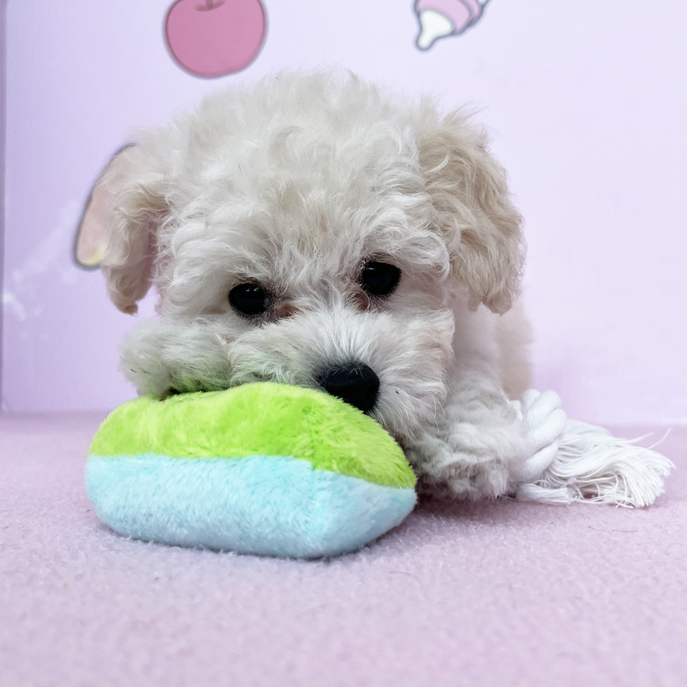 今日から７月♪